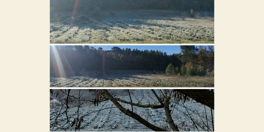 Hiver à la ferme